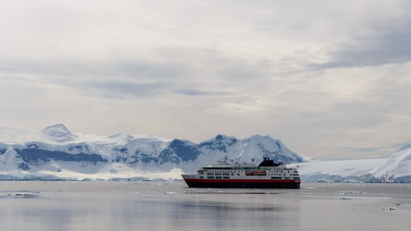 Vivre une expédition unique : que faire lors d'une croisière en antarctique ?